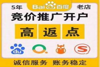 SEM托管公司成功案例：助力企业快速成长